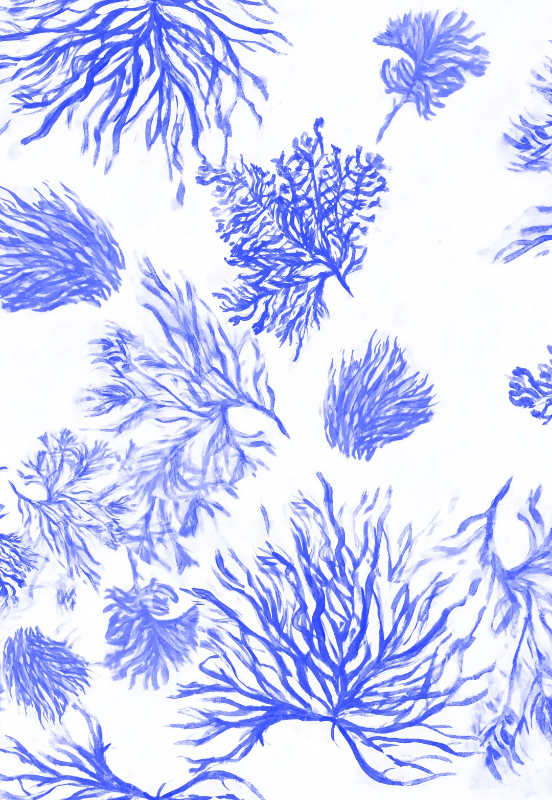 Gena Cotton Tunic in Toile de Reef